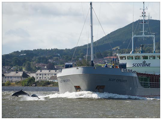 Inverness Terminal Services